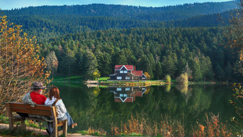 BOLU Güvenlik Filesi