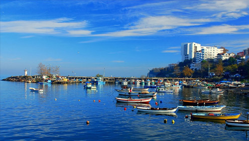 DÜZCE Güvenlik Filesi