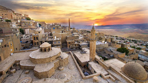 MARDİN Güvenlik Filesi