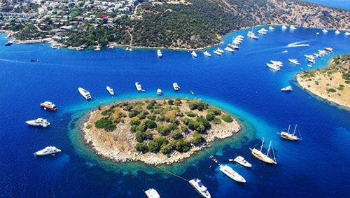 MUĞLA Güvenlik Filesi