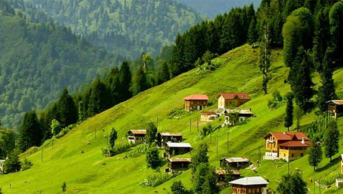 RİZE Güvenlik Filesi